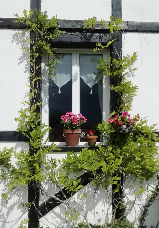 The Old Cider Press Villa Carnoet Exterior photo